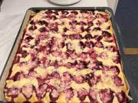 553565517_1140992788137663_1081549118979447956_n