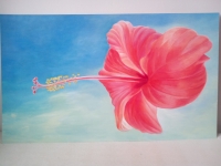 IMG_20170105_133429_BURST001_COVER