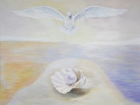 holubice hlídá perlu