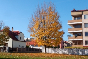 Modlitební procházka Q3-2017