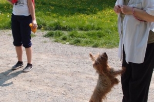 Modlitební vycházka za Hostivař 05/2014