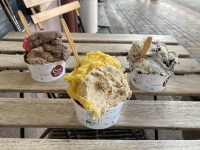 553107736_1390119636091756_4238688130581811423_n