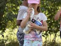 received_1758312945055672