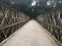 received_1158075239492456