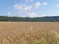 Krajina v okolí Šlovic