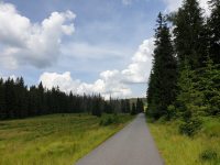 Na výletě na Modravě