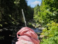 Skvělá borůvková zmrzlina z  Turnerovy chaty  v údolí Vydry