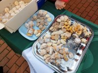 Cukroví od spolku Aktivní senioři