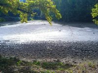 552960742_663162730169273_1704671864378266674_n