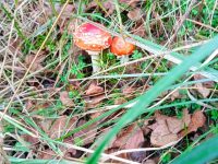 553045517_1504505657531631_3631029864448614926_n