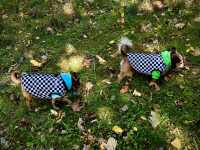 553441020_3735092436627669_3303042612922527566_n