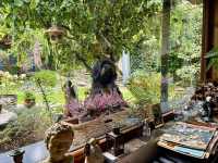 553672142_797564102998376_5887642066160431889_n