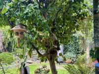 554188988_773177255718524_2825176639743969683_n