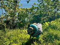 556143542_1932377737329532_5313585491712618039_n