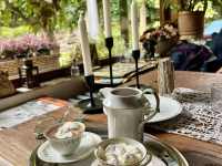 557418544_1466740007880691_2668857146288611653_n