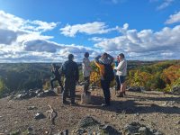 Messenger_creation_89FDDE00-AD26-4C06-A806-EF7CE610F171