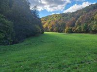 Messenger_creation_C4CF4868-3D52-442D-8E0A-B92320896951