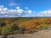 Messenger_creation_E3990085-504B-4457-A5C6-195D71CE97FD