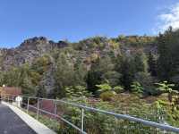 received_1100582738563363