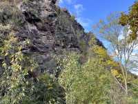 received_1460913478333393