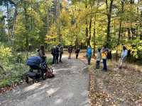 received_24541444135556215