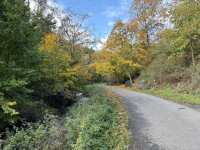 received_788626534047502