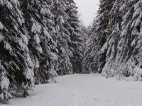 633141234_1594076085260540_6572317262857909051_n