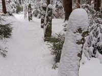 633997367_903243535790221_4807955889223086007_n