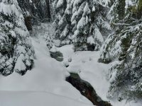 635178880_918703437477102_593432214220091308_n