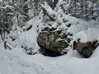 636538848_1189021353109791_5356329726037947692_n