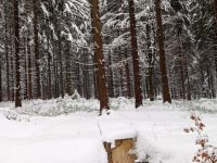 636636906_1276953347707880_5286572989679272558_n