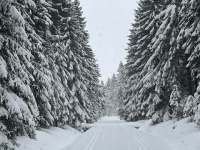 636687366_1230637922387151_8708545595609110480_n