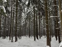 636991617_935856279100688_684250181700155909_n