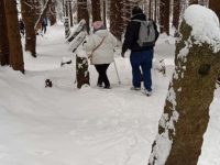 637509246_903349312327766_5748599578443628589_n