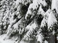 638891975_1647090609658275_7739814847836400679_n