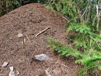 received_1536246670444616