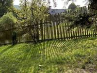 received_202012412917266