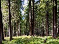 received_285040027824983