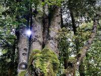 received_687500453321080