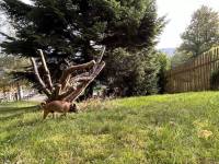 received_793113945949886