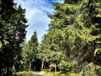 received_860720689035518