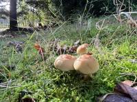 received_885103593324567