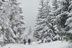 Zimní výlet do Bedřichova 2025